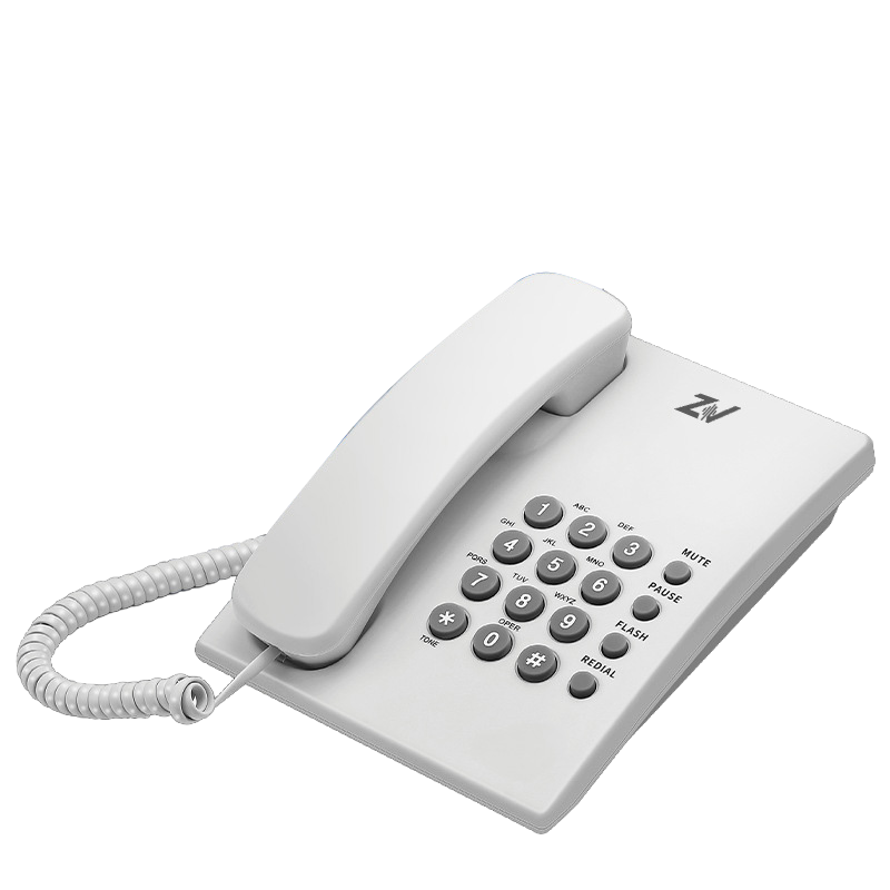 ZV-AH222