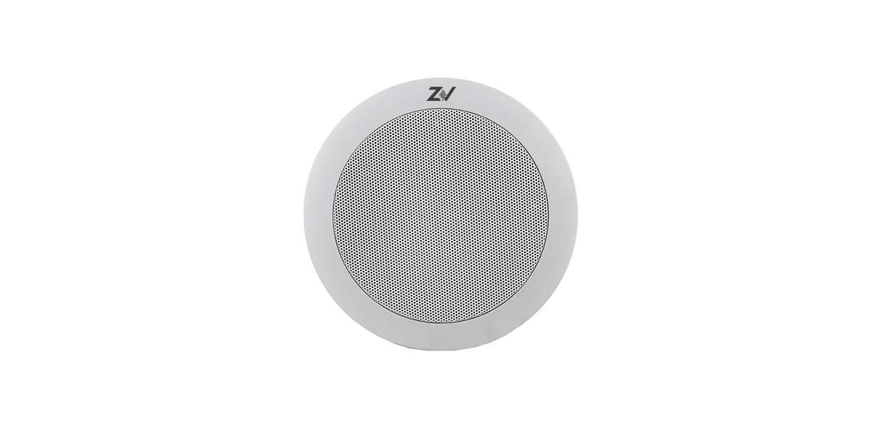 ZV-INS-CG100