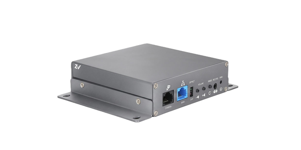 ZV-PG300